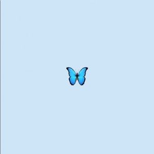 Meet your Posher, Avery